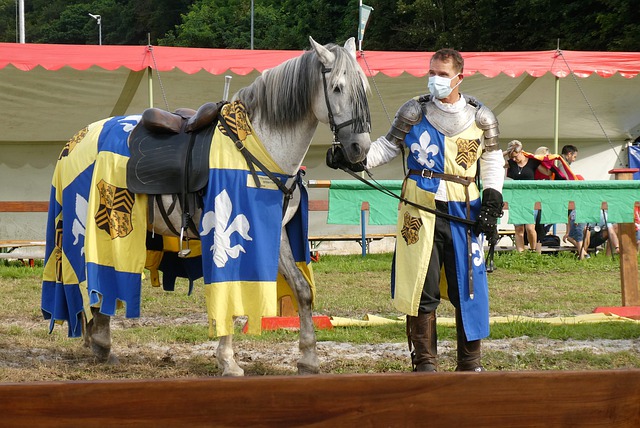 展示了深圳 展示了深圳