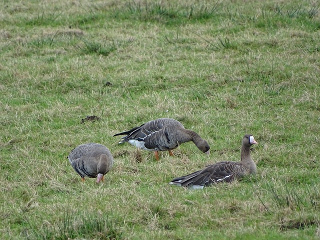 队展开激烈 队展开激烈