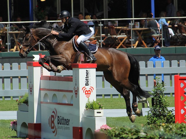 演和迷人的 演和迷人的