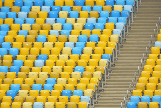 球员的自我 球员的自我