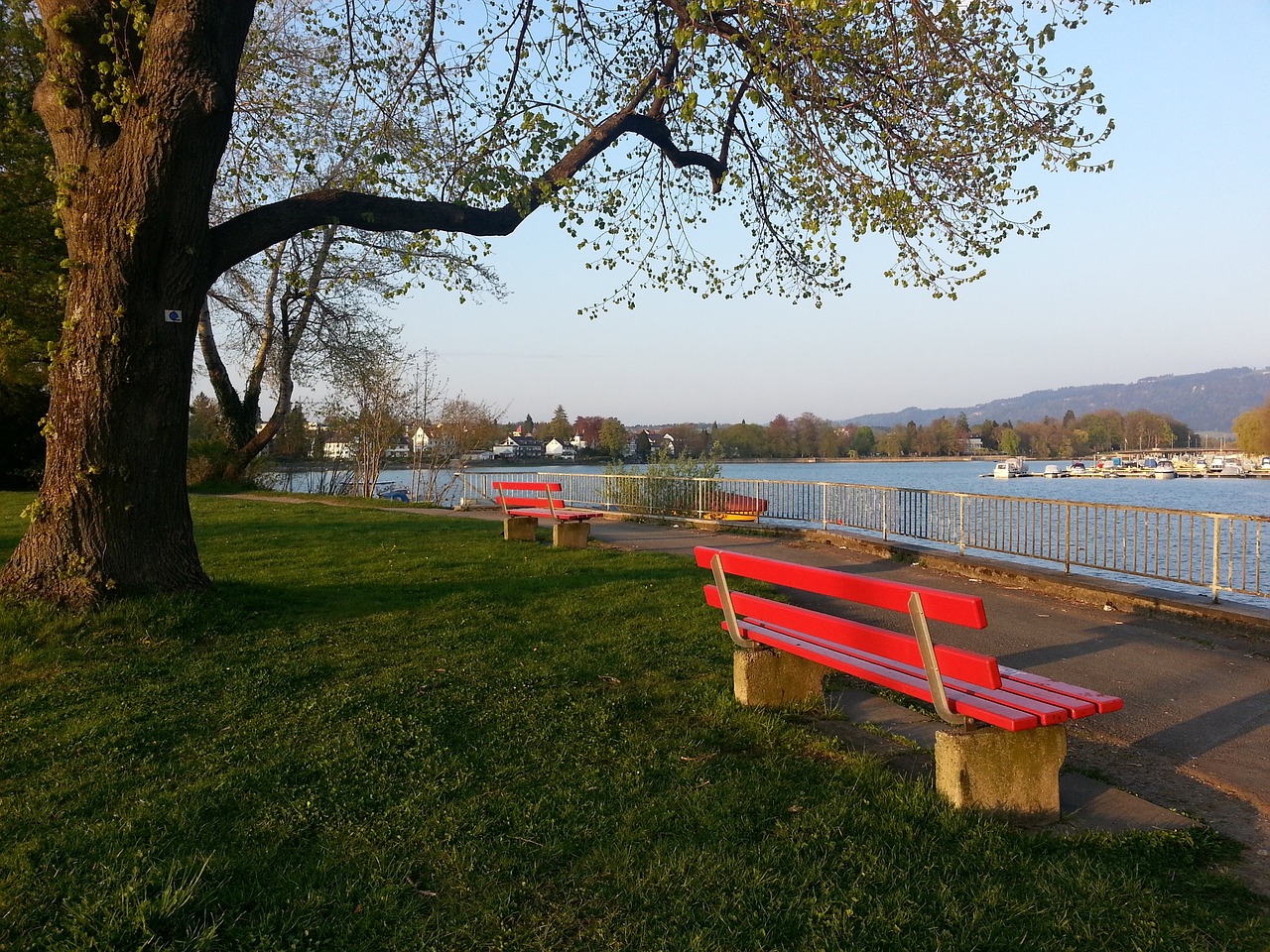 友的磨合 友的磨合