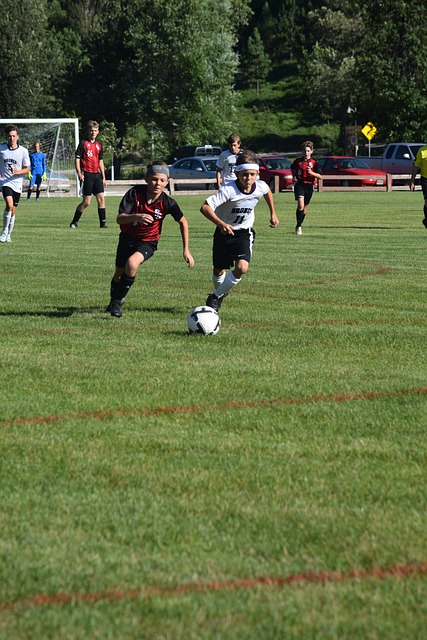 来了全新的 来了全新的