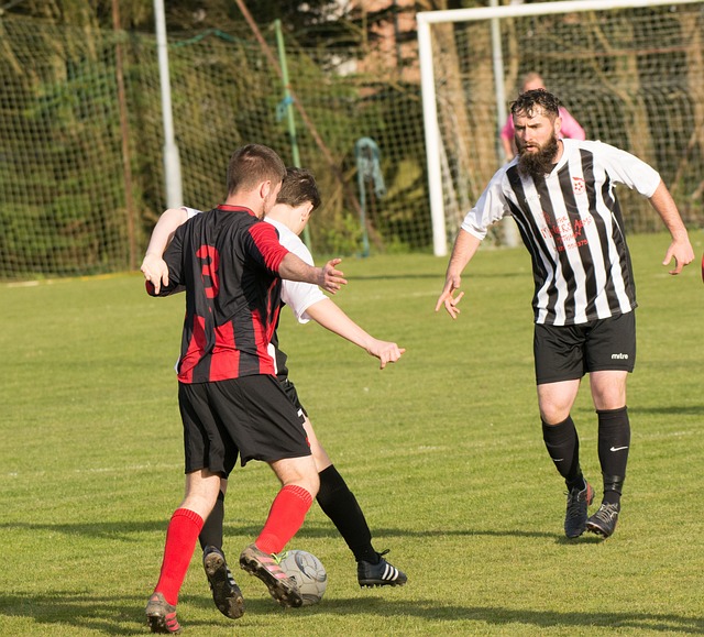 强的拼搏精 强的拼搏精