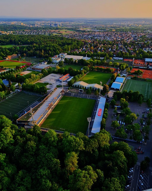 具韧性的球 具韧性的球