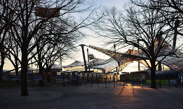 制定还是技 制定还是技